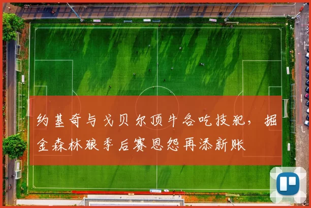 约基奇与戈贝尔顶牛各吃技犯,掘金森林狼季后赛恩怨再添新账